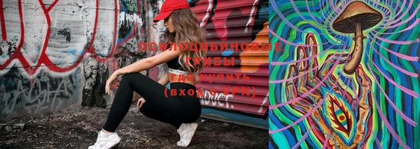 спайс Пролетарск